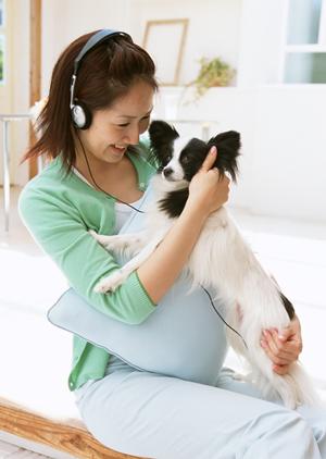 犬長期預かりをしてくれるところ