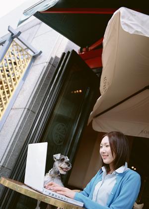 関西のティーカッププードルのブリーダー